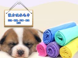 【吻拉魚寵物】正品 Kemei KM-605 全機水洗式電動剪髮(毛)器 高瑞品質 電剪/剪毛 歷史價格詳細信息