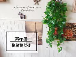 綠葉類蔬菜病蟲害診治原色圖鑒(第二版)  呂佩珂,蘇慧蘭,李秀英 編 2017-1-1 化學工業出版社   露天市集 歷史價格詳細信息