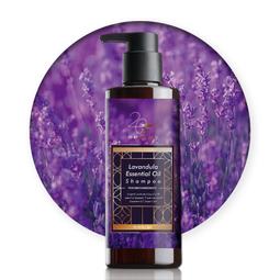 【帝一化工】20 BEAUTY DAY 有機大馬士革玫瑰花水 歷史價格詳細信息