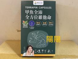 股東會紀念品-小黃小包包 歷史價格詳細信息