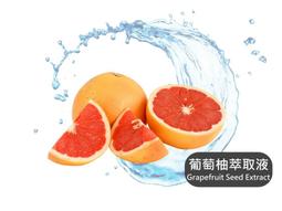 (DIY美化居家環境小幫手) 2入裝 單色流蘇線簾 / 門簾 / 窗簾 可選色 SK 歷史價格詳細信息