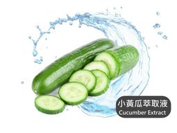 小黃瓜 美容切片器(帶鏡子) 歷史價格詳細信息