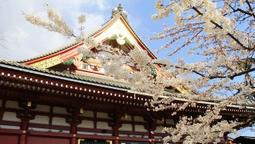 代購藥師佛 古法琉璃藥師佛佛像擺件 如來家居佛堂供奉佛像擺件 工藝品 藍色琉璃光 七色可選 禮物 E4 歷史價格詳細信息