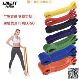 【惠惠市集】健身彈力帶龍門架腳踝扣綁帶練腿臀部拉伸力量訓練腳環拉力繩配件 歷史價格詳細信息