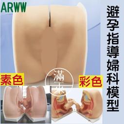 素色穿指袖套(隨機)【佳瑪】 歷史價格詳細信息