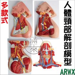 人體肌肉地圖   【金石堂】 歷史價格詳細信息