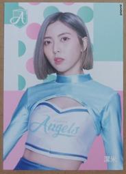 2023 富邦 啦啦隊 Fubon Angels Kesha 限量十張性感泳裝簽名卡要賣 歷史價格詳細信息