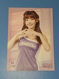 【LIONEERS 攻城獅】22-23 五龍五獅主題球衣(官方直營) 歷史價格詳細信息