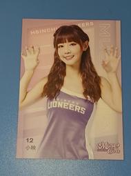 【LIONEERS 攻城獅】22-23 五龍五獅主題球衣(官方直營) 歷史價格詳細信息