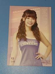 【LIONEERS 攻城獅】22-23 五龍五獅主題球衣(官方直營) 歷史價格詳細信息