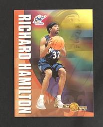 Richard Hamilton 1999-00 Fleer Ultra /750 簽名 歷史價格詳細信息