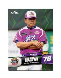 曾智偵  中華職棒 4年 最佳九人 最佳捕手 統一獅隊 歷史價格詳細信息