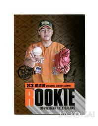 中日龍 統一獅 郭源治 2012BBM 最強外國人 特殊版 FL1  球員卡1張133元起標 台灣代表 歷史價格詳細信息