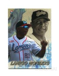 TSC Lamigo桃猿隊卡-國旗彩虹簽卡一套10張(陳金鋒,林智勝,郭嚴文,詹智堯,莊勝雄...) 歷史價格詳細信息