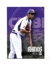 中華職棒義大犀牛隊羅蘭德史密斯 Ryan Rowland-Smith 2013 Pawtucket Red Sox SG 歷史價格詳細信息