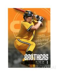 子189 李捷對聯 畫芯22.4x69.6公分 歷史價格詳細信息