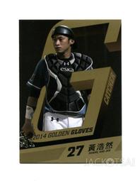 GG02-20RL 16目2尺寬透明尼龍鐵絲網 整捲售 尼龍網 鐵絲網 紗門網 紗窗網 歷史價格詳細信息