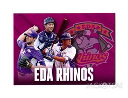 【2017發行】2016中華職棒27年球員卡 年度獎項卡-AA02安打王 王柏融 歷史價格詳細信息