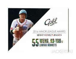 【2017發行】2016中華職棒27年球員卡 年度獎項卡-AA02安打王 王柏融 歷史價格詳細信息