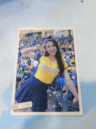 【CardMaster】現貨上市 御三家 歡天喜地組合 小火龍 妙蛙種子 傑尼龜 歷史價格詳細信息