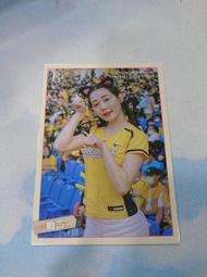 【CardMaster】現貨上市 御三家 歡天喜地組合 小火龍 妙蛙種子 傑尼龜 歷史價格詳細信息