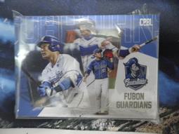 2022 中華職棒 樂天桃猿  啦啦隊 樂天女孩 Rakuten Girls  熊霓    拼圖卡一套九張一起賣 歷史價格詳細信息