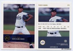 台灣之光王建民 2004 Throwback Threads Chien Ming Wang #132 歷史價格詳細信息