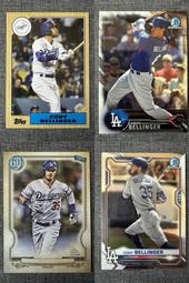 CODY&MIDY大型犬暢銷歐洲皮質龐克三排釘寵物項圈(經典蛇紋/4種尺寸可選) 歷史價格詳細信息