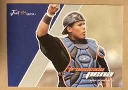 日本品牌 HA hatakeyama 硬式牛皮 "福來喜"式樣 坎佩切海盜隊配色 紀念款 象皮壓紋 捕手手套 歷史價格詳細信息