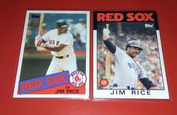 HOF Fred McGriff 1996 Leaf Total Bases #8 # 0147/5000 歷史價格詳細信息