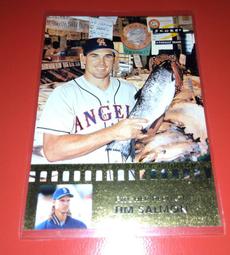 Salmon Fishing in the Yemen/Paul Torday【禮筑外文書店】[9折] 歷史價格詳細信息