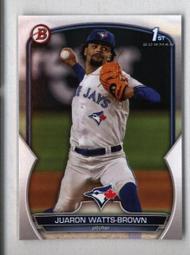 Blue Jay Embroidered Bird hat 歷史價格詳細信息