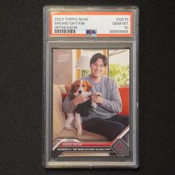 PSA 鑑定卡 專用收納盒 遊戲王 寶可夢PTCG 球員卡 NBA MLB 非ultra pro 歷史價格詳細信息