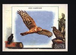 特卡 2023 Topps Allen & Ginter Music to Your Ears #9 Bongos 歷史價格詳細信息