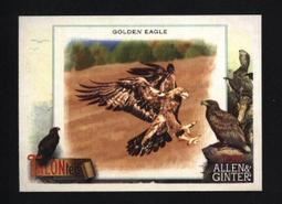 2023 Topps Allen & Ginter #9 Joey Meneses Nationals RC 歷史價格詳細信息