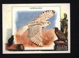 特卡 2023 Topps Allen & Ginter Music to Your Ears #9 Bongos 歷史價格詳細信息