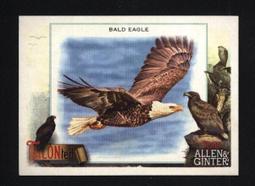 特卡 2023 Topps Allen & Ginter Music to Your Ears #9 Bongos 歷史價格詳細信息