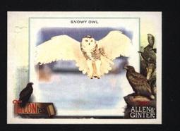 特卡 2023 Topps Update 1988 #19 Zach Neto RC Angels 歷史價格詳細信息