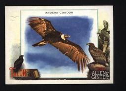 特卡 2023 Topps Update 1988 #19 Zach Neto RC Angels 歷史價格詳細信息