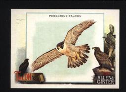 特卡 2023 Topps Update 1988 #19 Zach Neto RC Angels 歷史價格詳細信息