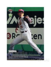 2017新款天使之翼LED光纖夜跑夜騎行彩色發光反光背心 運動馬甲 歷史價格詳細信息