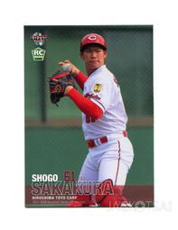 廣東隊短袖t恤男女純棉上衣休閑籃球迷廣東宏遠易建聯學生情侶衣#男裝 歷史價格詳細信息