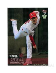 廣東隊短袖t恤男女純棉上衣休閑籃球迷廣東宏遠易建聯學生情侶衣#男裝 歷史價格詳細信息