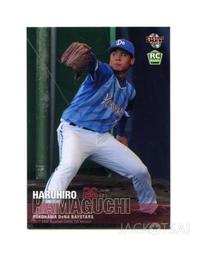 新加坡 濱海灣金莎酒店 MARINA BAY Sands 明信片(共2款) 歷史價格詳細信息