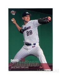 東京養樂多 球衣代購 客場 無背號(球迷版) 代購 歷史價格詳細信息