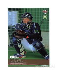 東京養樂多 球衣代購 客場 無背號(球迷版) 代購 歷史價格詳細信息