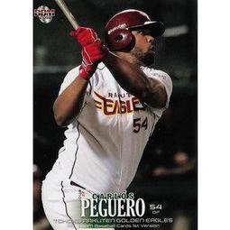 Carlos Raul Villanueva -9783764361167 絕版英文設計書 [建築人設計人的店-上博圖書] 歷史價格詳細信息