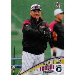 2018 BBM 日本職棒 福岡軟銀鷹隊隊卡 一套81張一起賣 含 千賀滉大 松田宣浩 柳田悠岐 歷史價格詳細信息