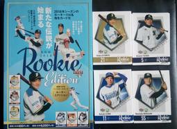 日本職棒 2018 橫濱DeNA海灣之星 電繡球員版球衣 歷史價格詳細信息