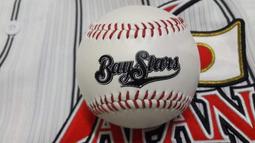 橫濱Kaya斜口金#特價中 歷史價格詳細信息